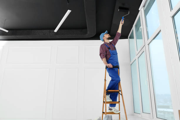 Professional Office Painting Services Delivering High-Quality Finishes for Modern Workspaces - kiolopobgofit